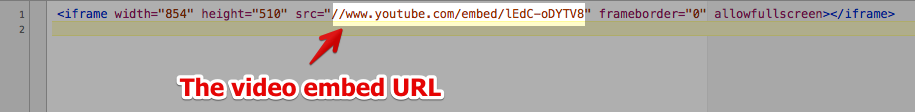 Get YouTube/Viemo Embed URL