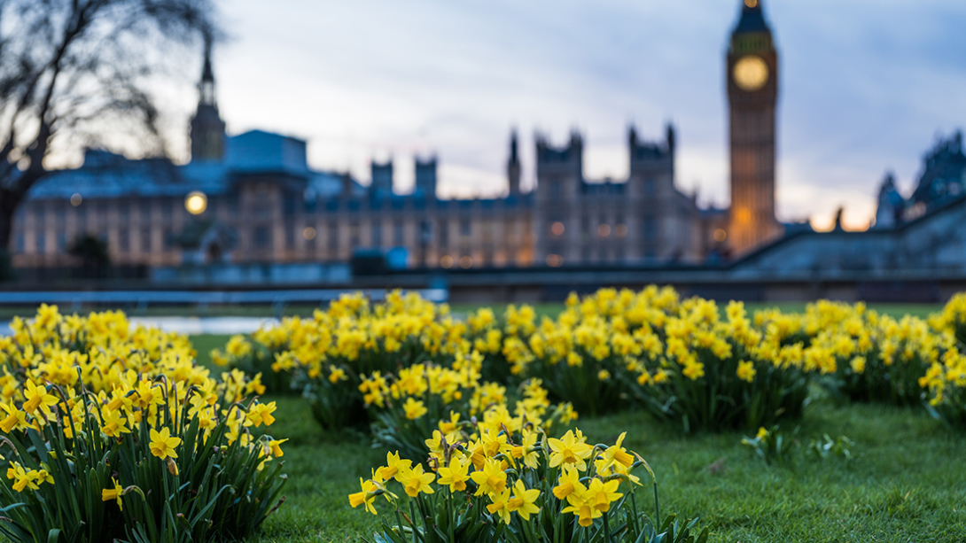 Beautifying cities with flowers Master Slider Responsive Image