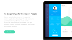Mobile App Presentation 2