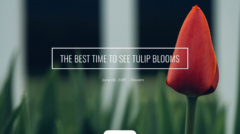 Sample Post Slider 2