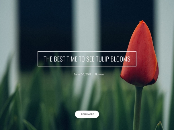 Sample Post Slider 2