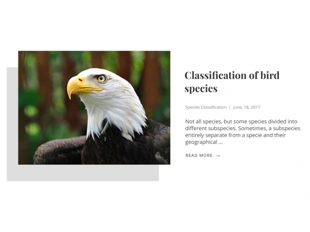 Sample Post Slider 4