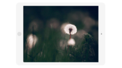 Slider in Flat Landscape Tablet