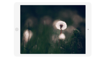 Slider in Flat Landscape Tablet