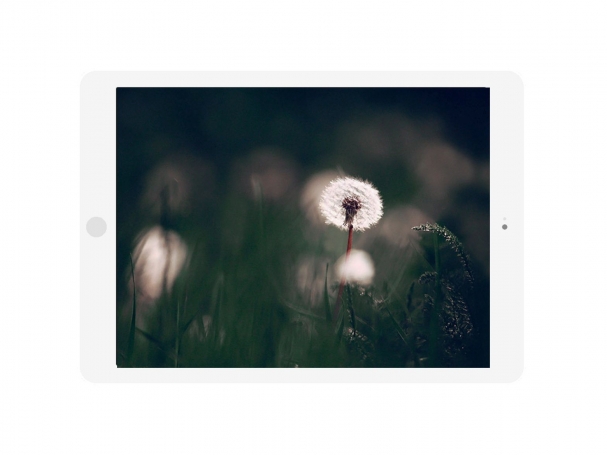 Slider in Flat Landscape Tablet