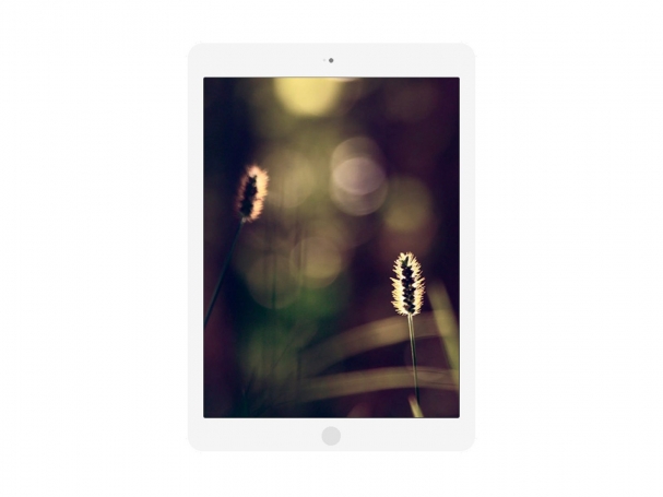 Slider in Flat Tablet