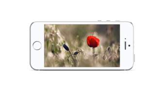 Slider in Landscape Smartphone