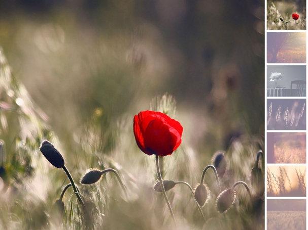 Slider with Vertical Thumbs