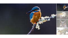 Vertical Direction Slider