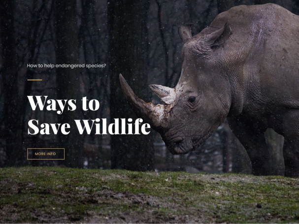 Wildlife (Parallax)