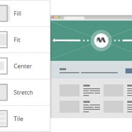 ms-wpf-ss3